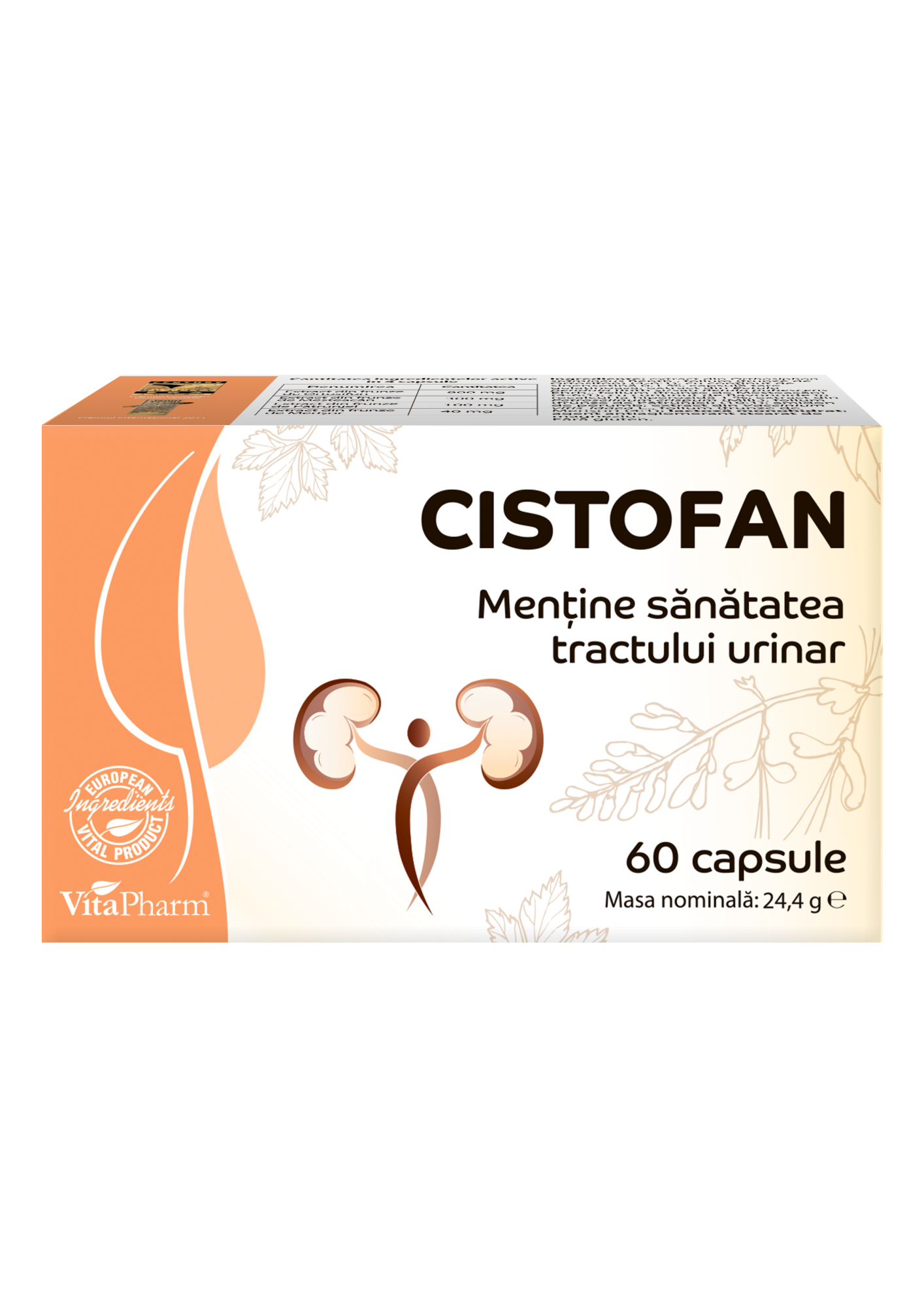 CISTOFAN capsule №60 - 1